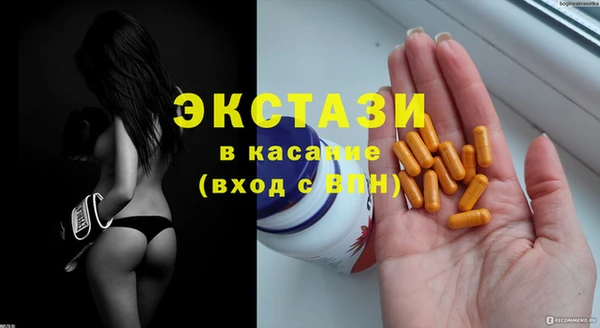 индика Абаза