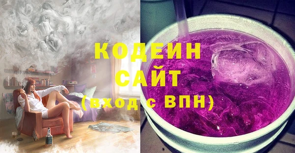 индика Абаза
