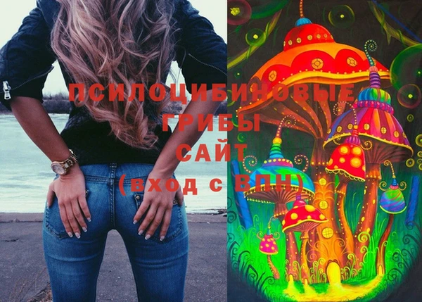 шишки Абдулино