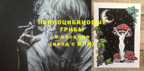 индика Абаза