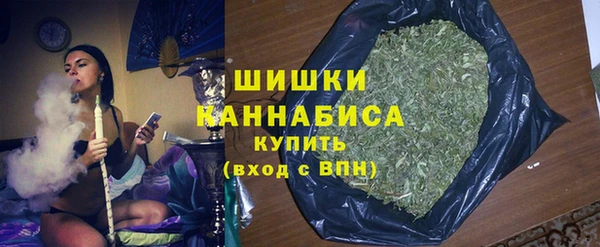 индика Абаза