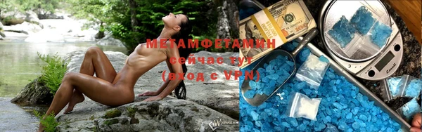 индика Абаза