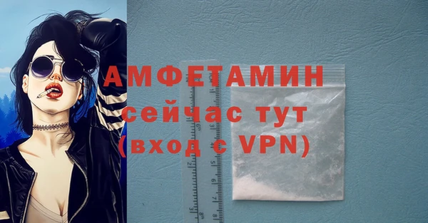 индика Абаза