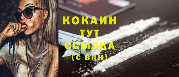 индика Абаза