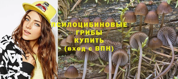 шишки Абдулино