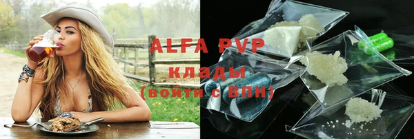 индика Абаза