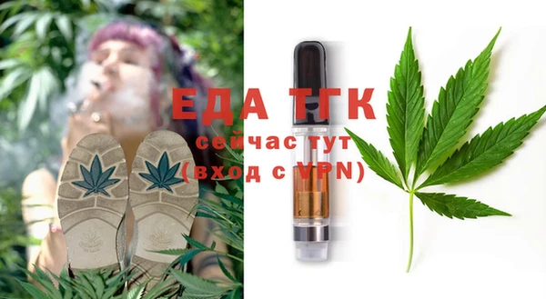 индика Абаза