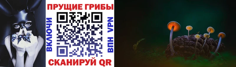 даркнет сайт  mega как зайти  Псилоцибиновые грибы Cubensis  Тогучин 