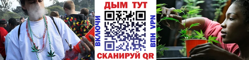 Конопля марихуана Тогучин